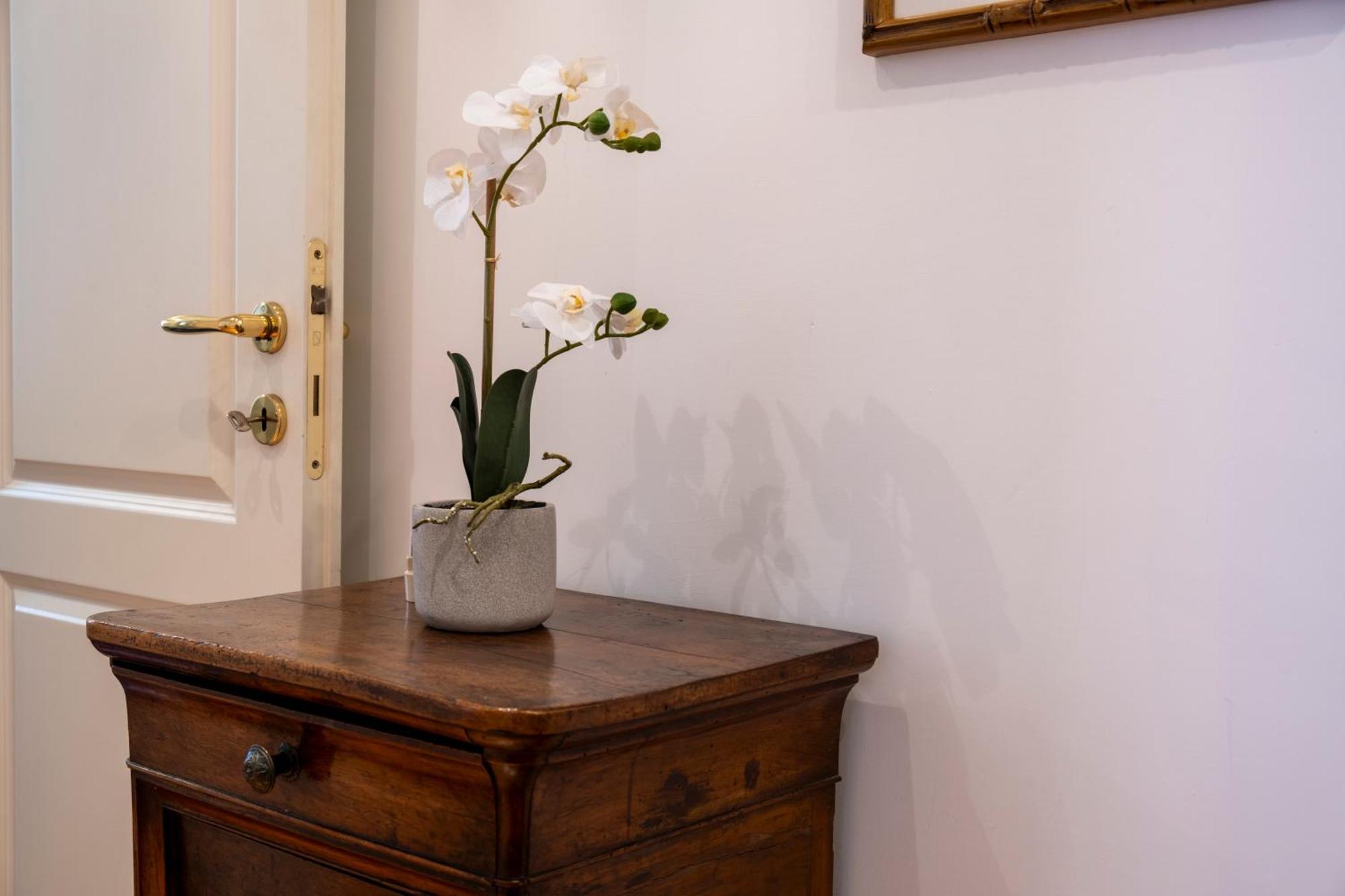 Apartment Elegantis Solinda *